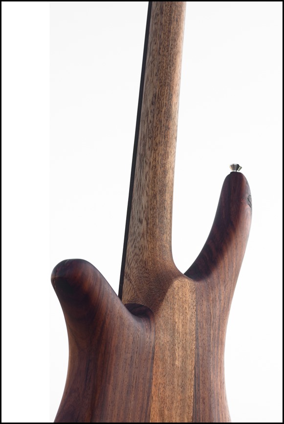 00025_02_Bass-2 00025_02_Bass-2