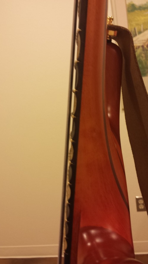 01437_08_scallpoed side 01437_08_scallpoed side