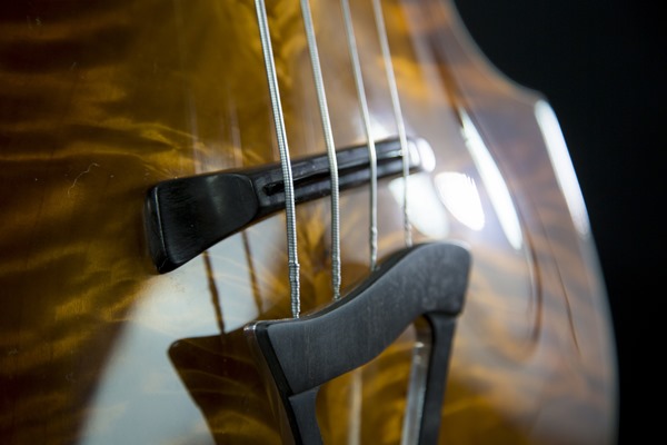 02035_03_bass bridge 02035_03_bass bridge