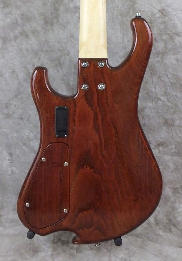 02227_03_daves bass body backBBG 02227_03_daves bass body backBBG