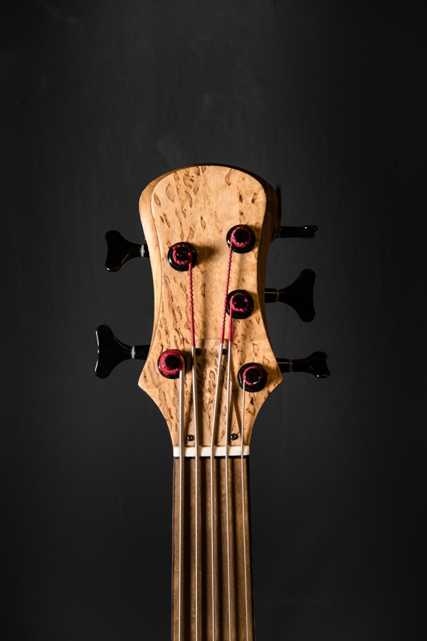 02925_03_Tuli Bass-29 02925_03_Tuli Bass-29