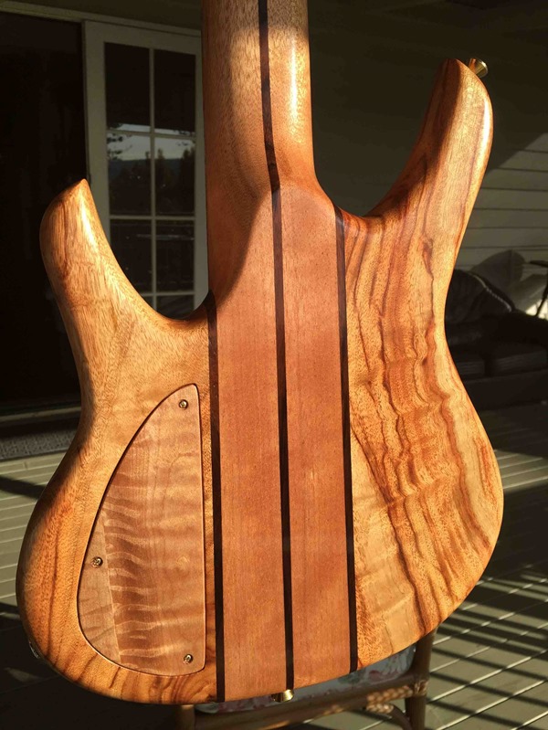 04548_01_Bass body back 04548_01_Bass body back