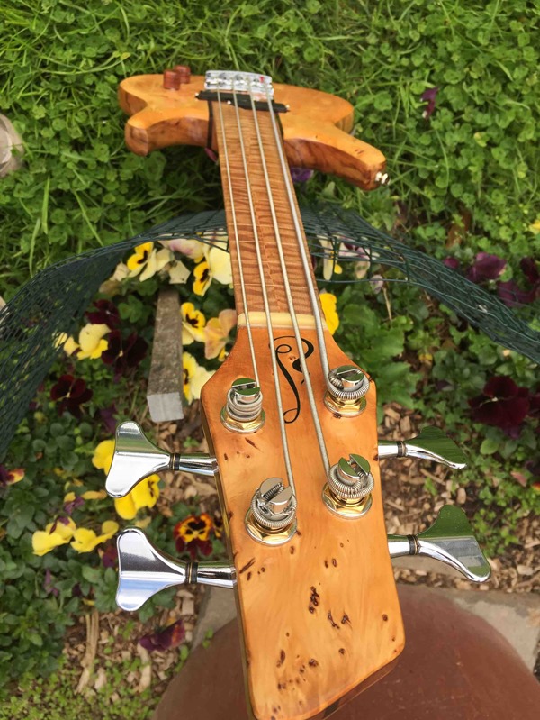 04548_02_Bass from above 04548_02_Bass from above