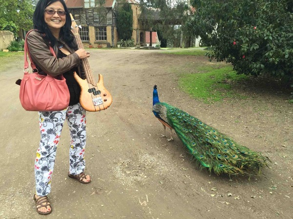 04548_04_Betty holding uke with peakock 04548_04_Betty holding uke with peakock
