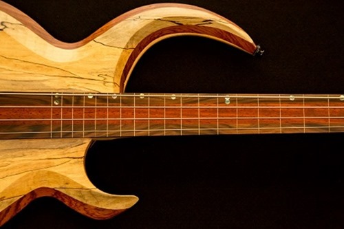 04514_04_rayrossbass website 042 04514_04_rayrossbass website 042