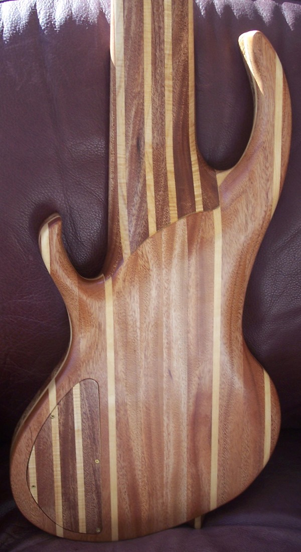 bass-back-detail bass-back-detail