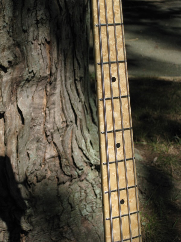 fret-board- fret-board-